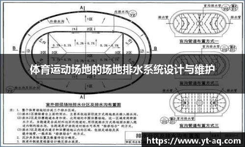 球速体育平台登录入口