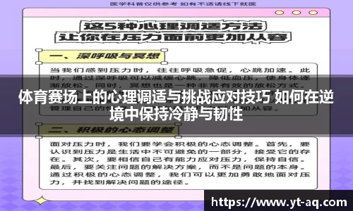 球速体育平台登录入口